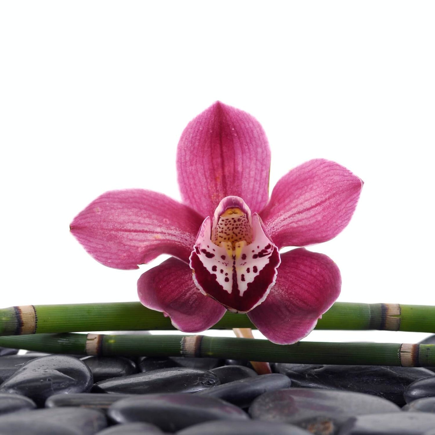 Seifenbar 'Schwarze Orchidee Verzauberung